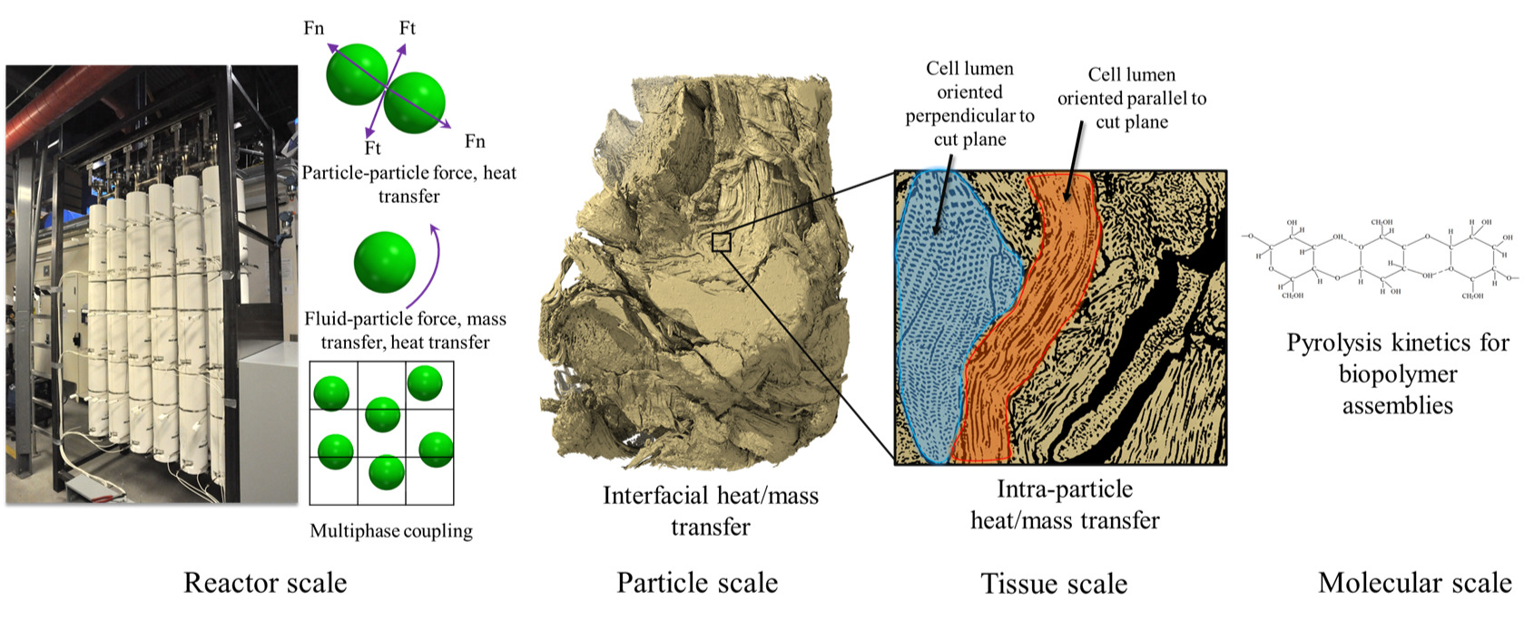 Solid Fules Thermochemical Conversions.jpg